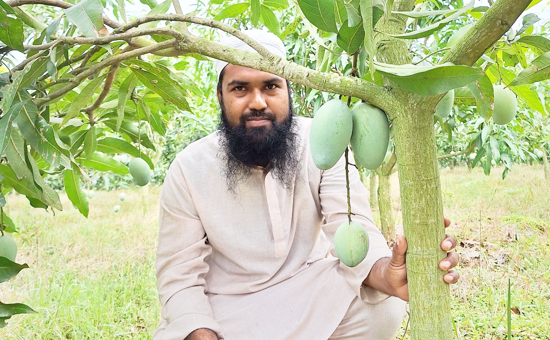 তরুণ উদ্যোক্তা জাহিদ হাসান: নিরাপদ আম চাষে কৃষির নতুন সম্ভাবনার দিগন্ত