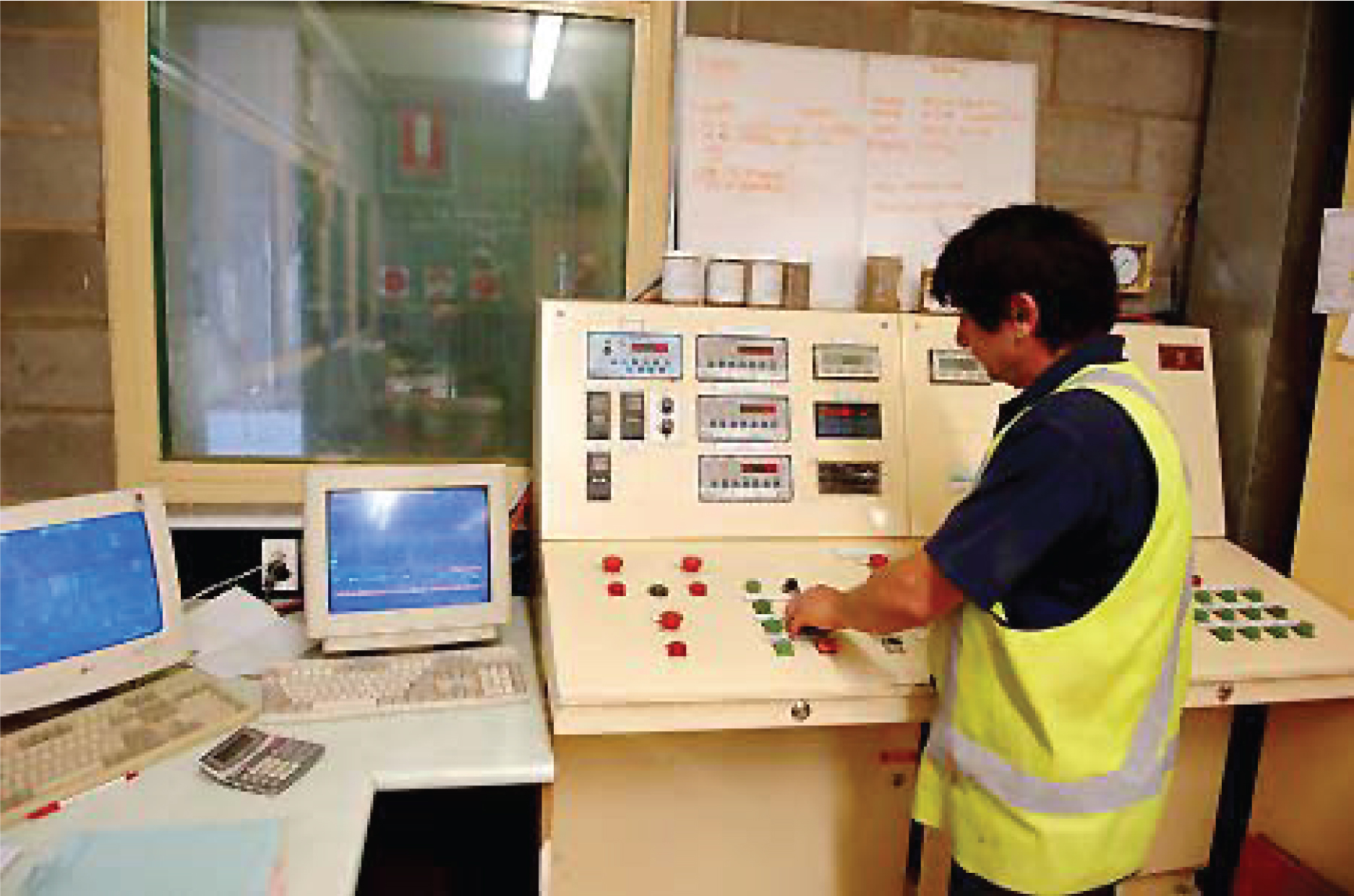 Optimizing Poultry Production Through Effective Feed Formulation