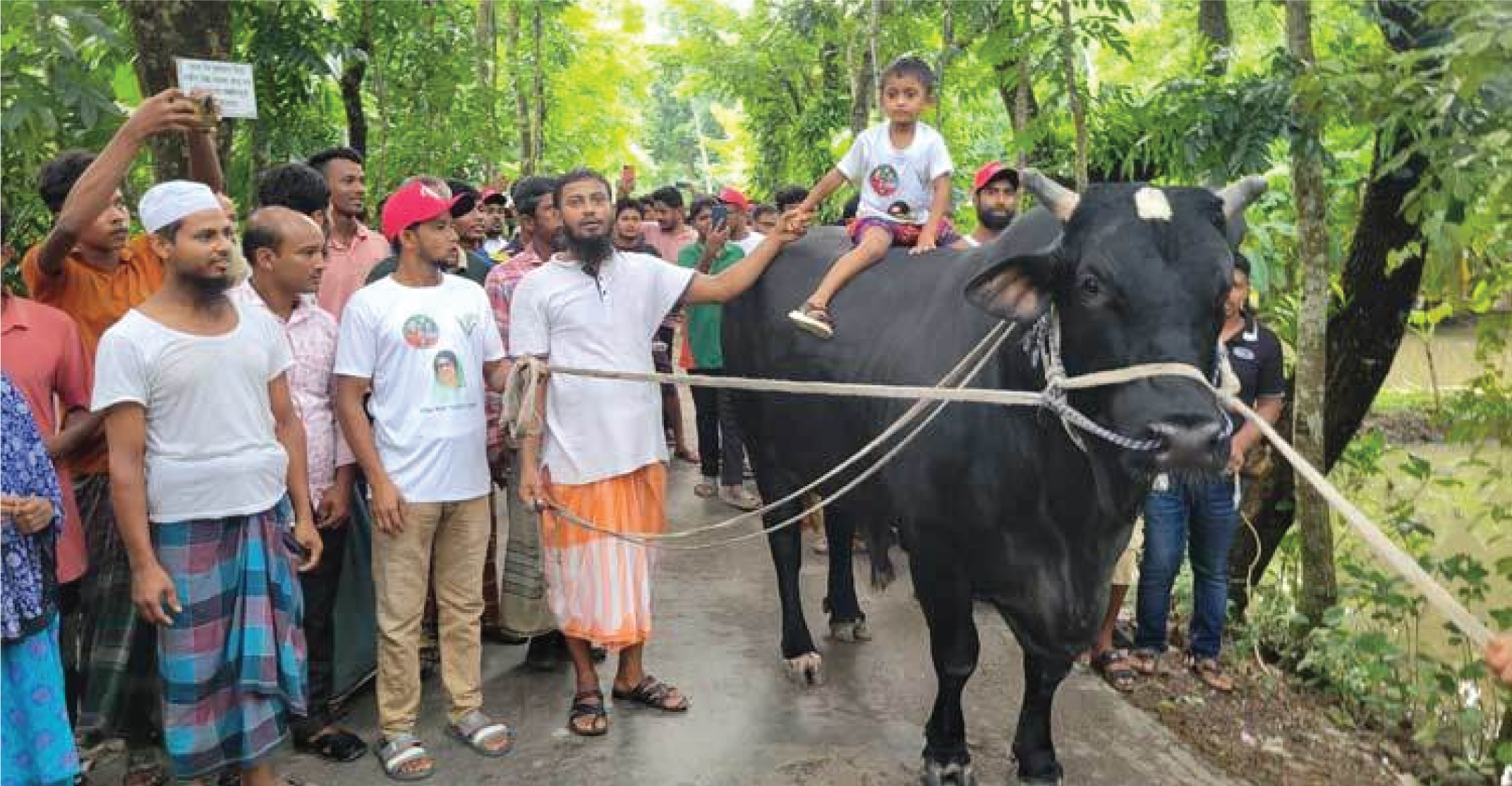 খালেদা জিয়ার জন্য ষাঁড় ‘কালো মানিক’ নিয়ে ঢাকার পথে খামারি সোহাগ