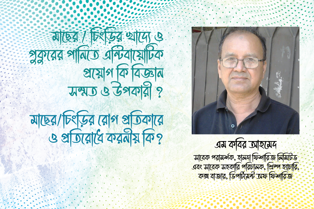 মাছের/চিংড়ির রোগ প্রতিকারে ও প্রতিরোধে করনীয় কি?