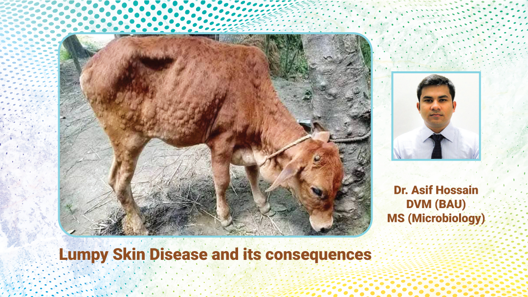 Lumpy Skin Disease and its Consequences