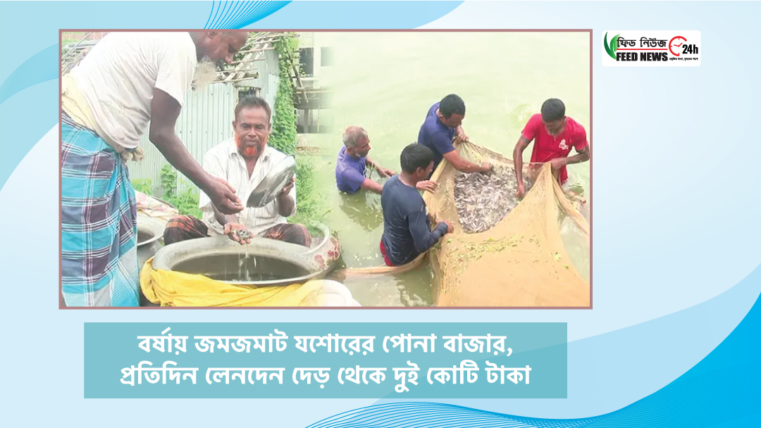 বর্ষায় জমজমাট যশোরের পোনা বাজার, প্রতিদিন লেনদেন দুই কোটি