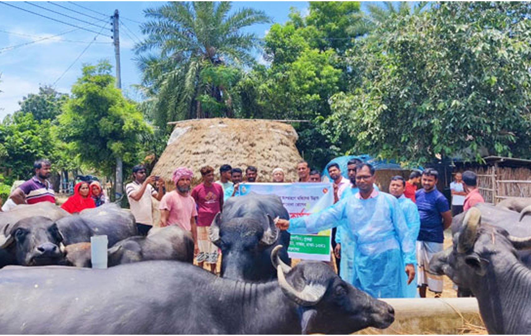 গোদাগাড়ীতে মহিষের গলাফোলা রোগের ভ্যাক্সিন কার্যক্রমের উদ্বোধন