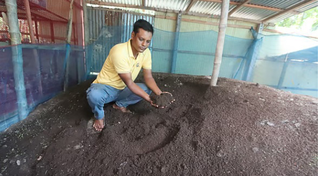 থাইল্যান্ডের কেঁচো থেকে শুরু, জৈব কৃষিতে সফল মামুনুর রশিদ