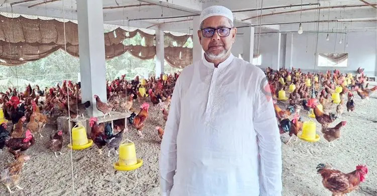 ইসমাইল হোসেন টুকু: সোনালি মুরগি দিয়ে শতাধিক মানুষের কর্মসংস্থান গড়ার অনুপ্রেরণার গল্প