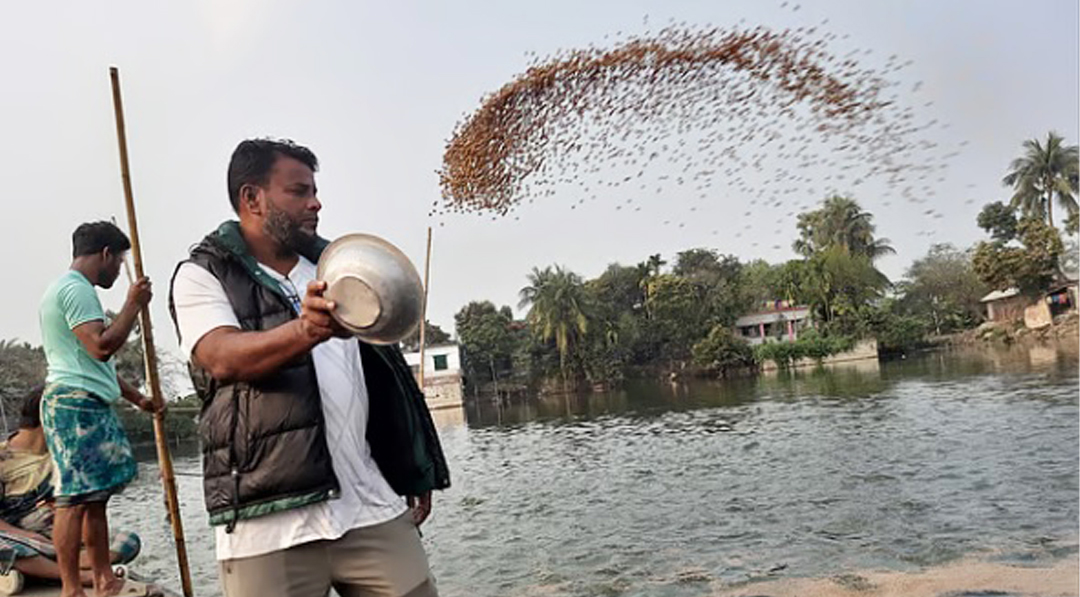 মাছ চাষে দৃষ্টান্ত কুমিল্লার রহমত ফিশারিজ