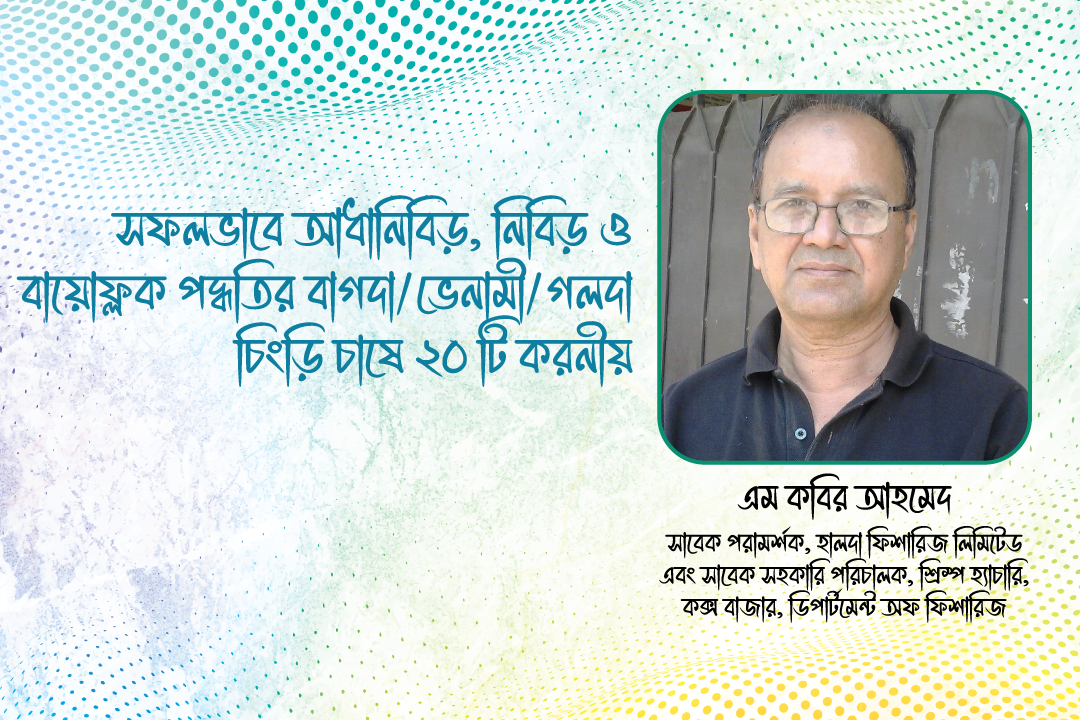 সফলভাবে আধানিবিড়, নিবিড় ও বায়োফ্লক পদ্ধতির বাগদা/ ভেনামী / গলদা চিংড়ি চাষে ২০টি করনীয়