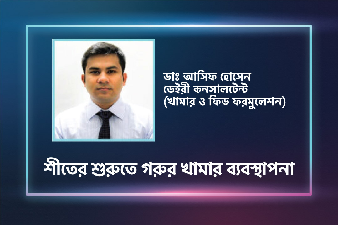 শীতের শুরুতে গরুর খামার ব্যবস্থাপনা