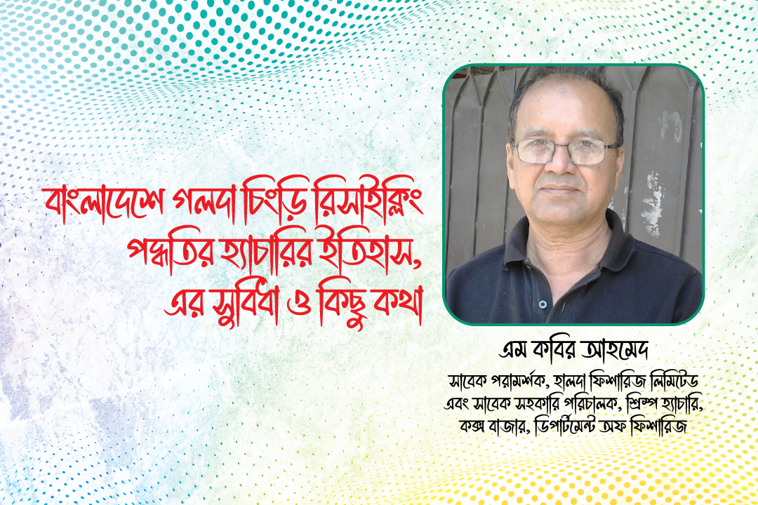 বাংলাদেশে গলদা চিংড়ি রিসাইক্লিং পদ্ধতির হ্যাচারির ইতিহাস, এর সুবিধা ও কিছু কথা