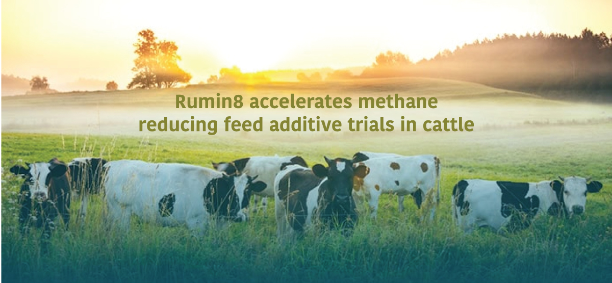 Rumin8 accelerates methane-reducing feed additive trials in cattle
