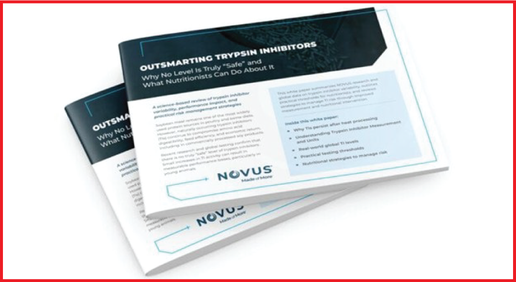 Soybean Market Analysis by NOVUS