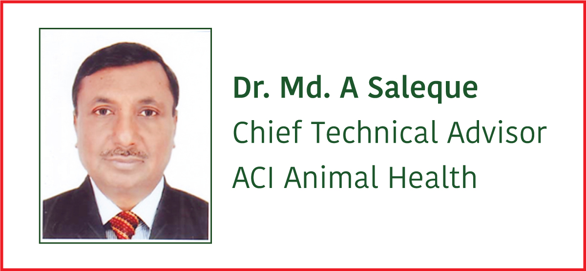 Inclusion Body Hepatitis (IBH): An emerging Poultry disease in Bangladesh