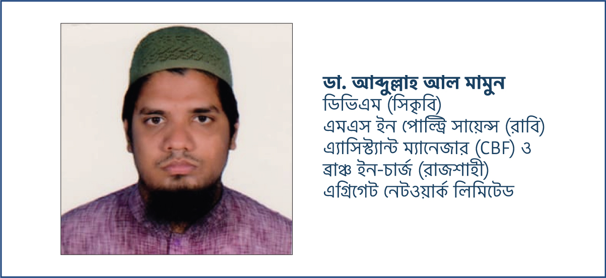আধুনিক পোল্ট্রি খামার গাইড: জমি নির্বাচন থেকে ওপেন শেড নির্মাণের সঠিক নিয়ম