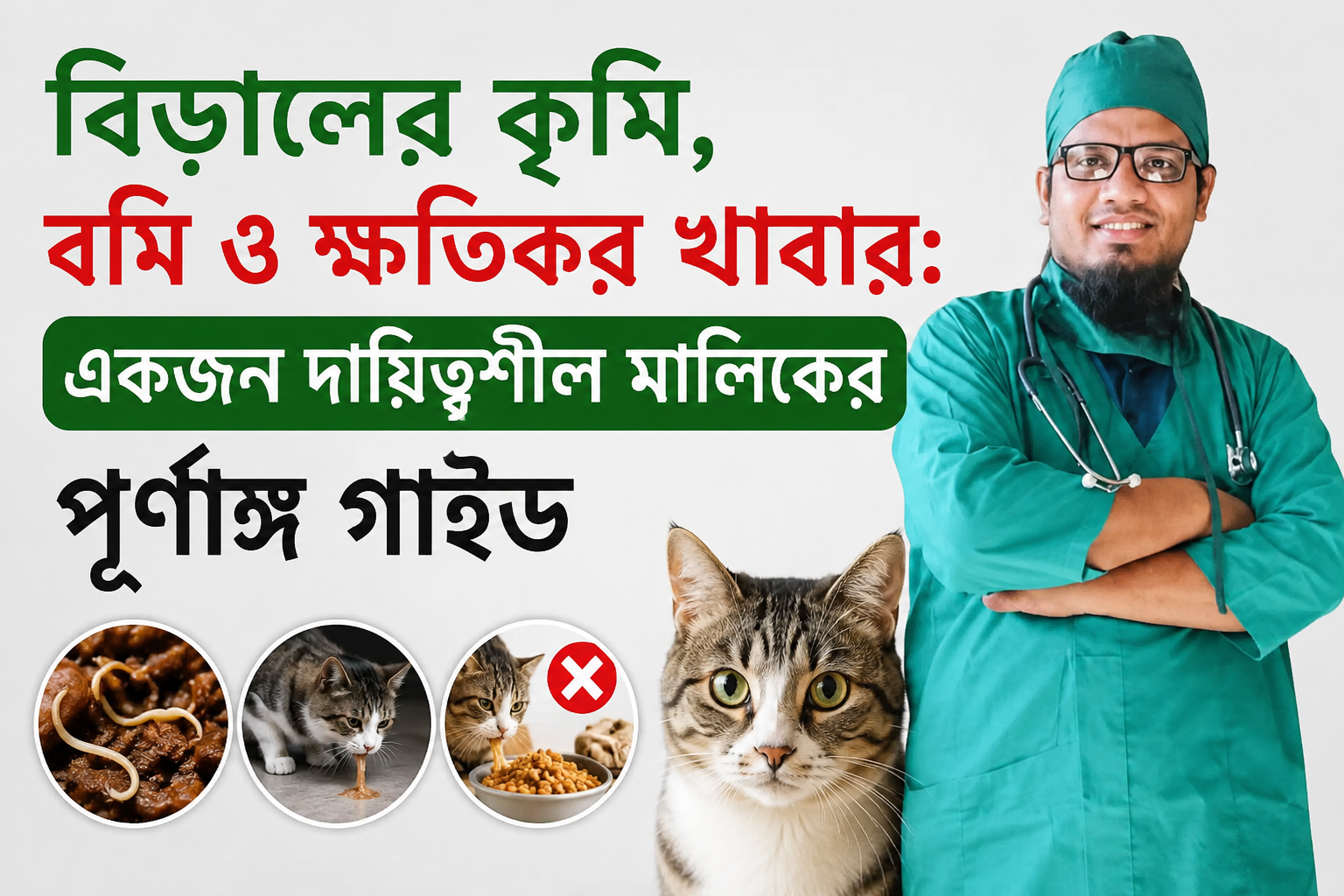 বিড়ালের কৃমি, বমি ও ক্ষতিকর খাবার: একজন দায়িত্বশীল মালিকের পূর্ণাঙ্গ গাইড