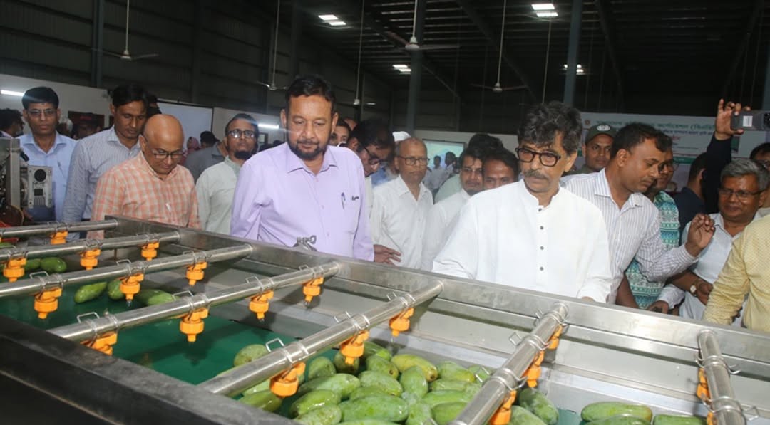 আম রপ্তানিতে যুগান্তকারী পদক্ষেপ, চালু হলো দেশের প্রথম ভ্যাপার হিট ট্রিটমেন্ট প্ল্যান্ট